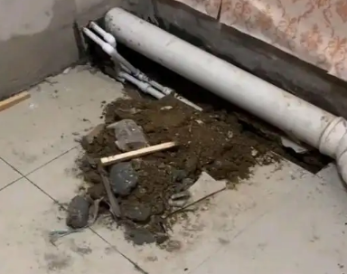 会泽卫生间漏水检测哪家好