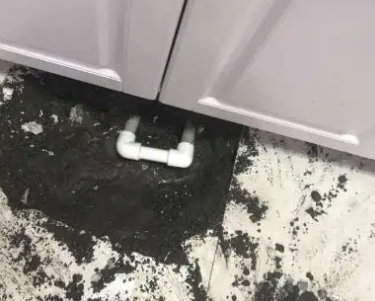 会泽查漏水哪家好